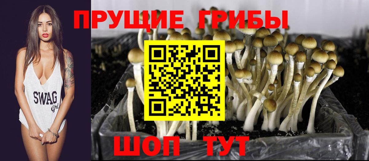 Усть-Джегута  Галлюциногенные грибы мицелий  Вход с VPN 